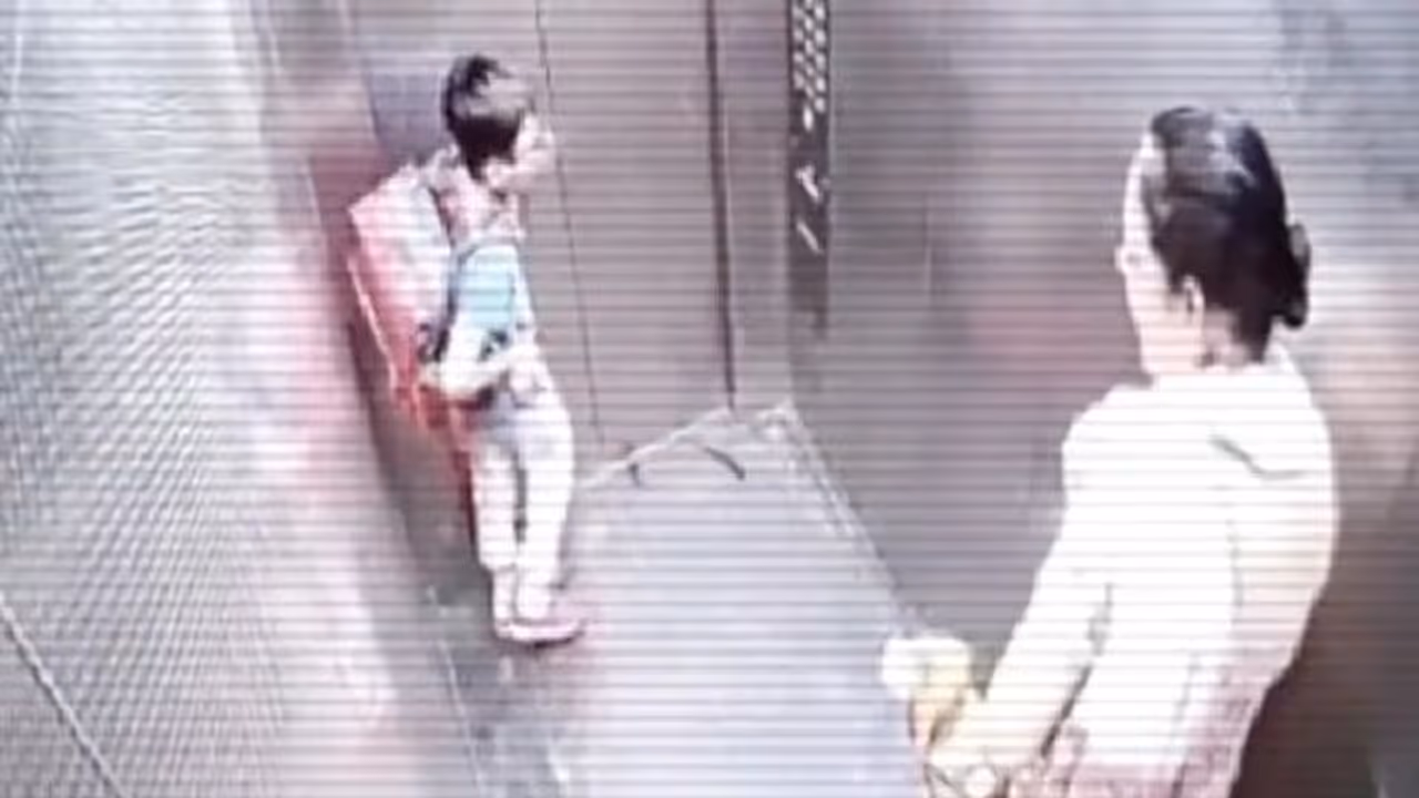 Dog Attack : ലിഫ്റ്റിനകത്ത് വച്ച് കുട്ടിയെ കടിക്കുന്ന വളര്‍ത്തുനായ ; വീഡിയോ