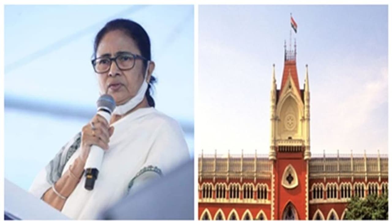 চার সপ্তাহের মধ্যেই দিতে হবে হলফনামা, মুখ্যমন্ত্রীর পরিবারের সম্পত্তি বৃদ্ধির মামলায় নির্দেশ হাই কোর্টের