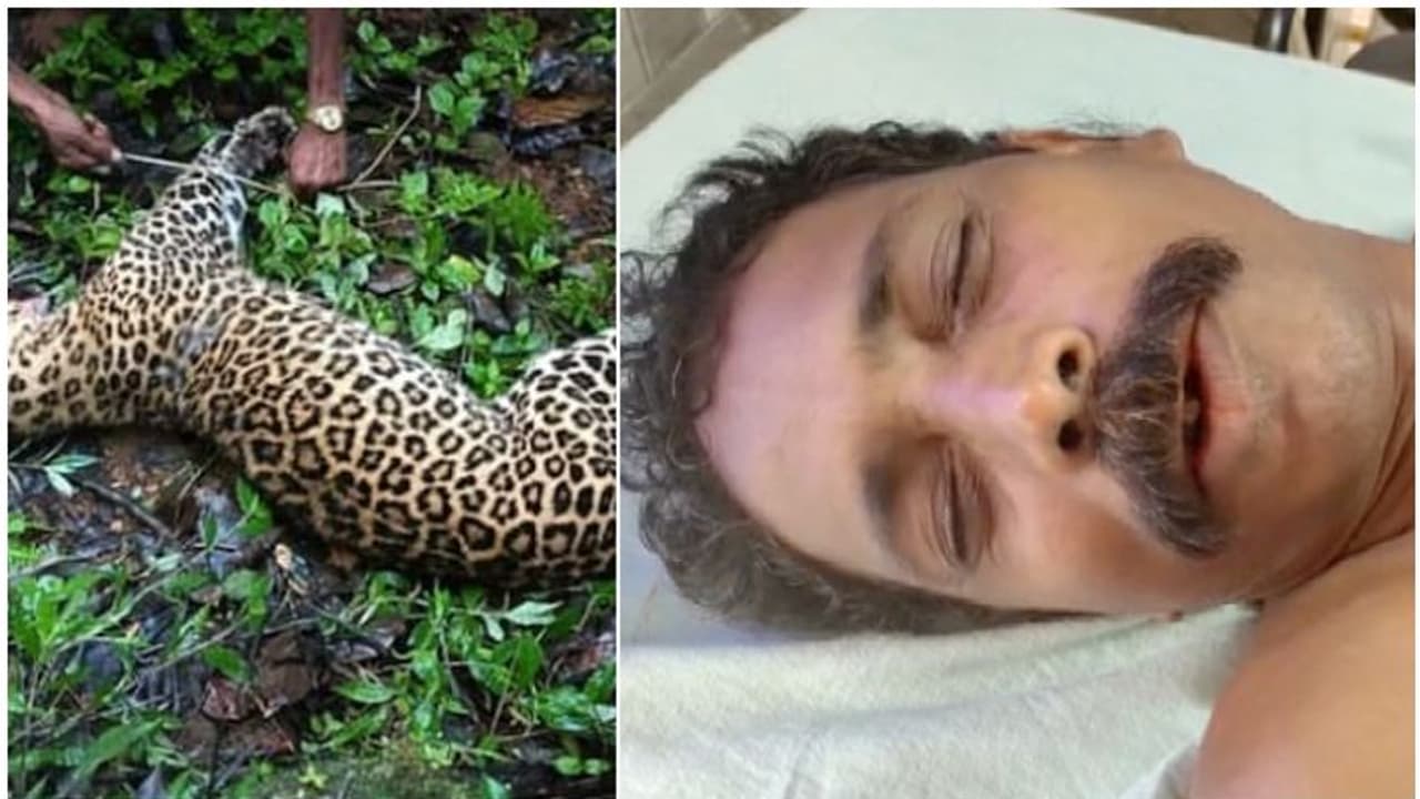 മുരുകാ നീ തീര്ന്നെടാ..! സൂപ്പര്ഹീറോ ആയി 'പുലി ഗോപാലന്'; ഒരുനോക്ക് കാണാന് ആരാധകരുടെ ഒഴുക്ക് മുരുകാ നീ തീര്ന്നെടാ..! സൂപ്പര്ഹീറോ ആയി 'പുലി ഗോപാലന്'; ഒരുനോക്ക് കാണാന് ആരാധകരുടെ ഒഴുക്ക്