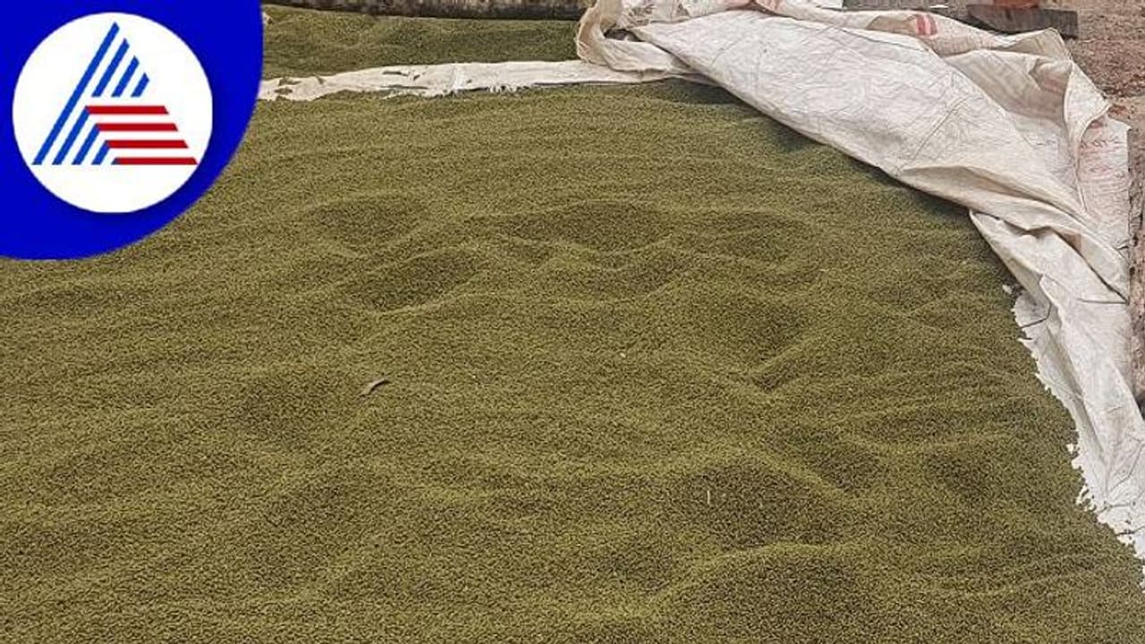 Dharwad: ಸರ್ಕಾರದ ಷರತ್ತು, ರೈತರಿಗೆ ಇಕ್ಕಟ್ಟು..! Dharwad: ಸರ್ಕಾರದ ಷರತ್ತು, ರೈತರಿಗೆ ಇಕ್ಕಟ್ಟು..!