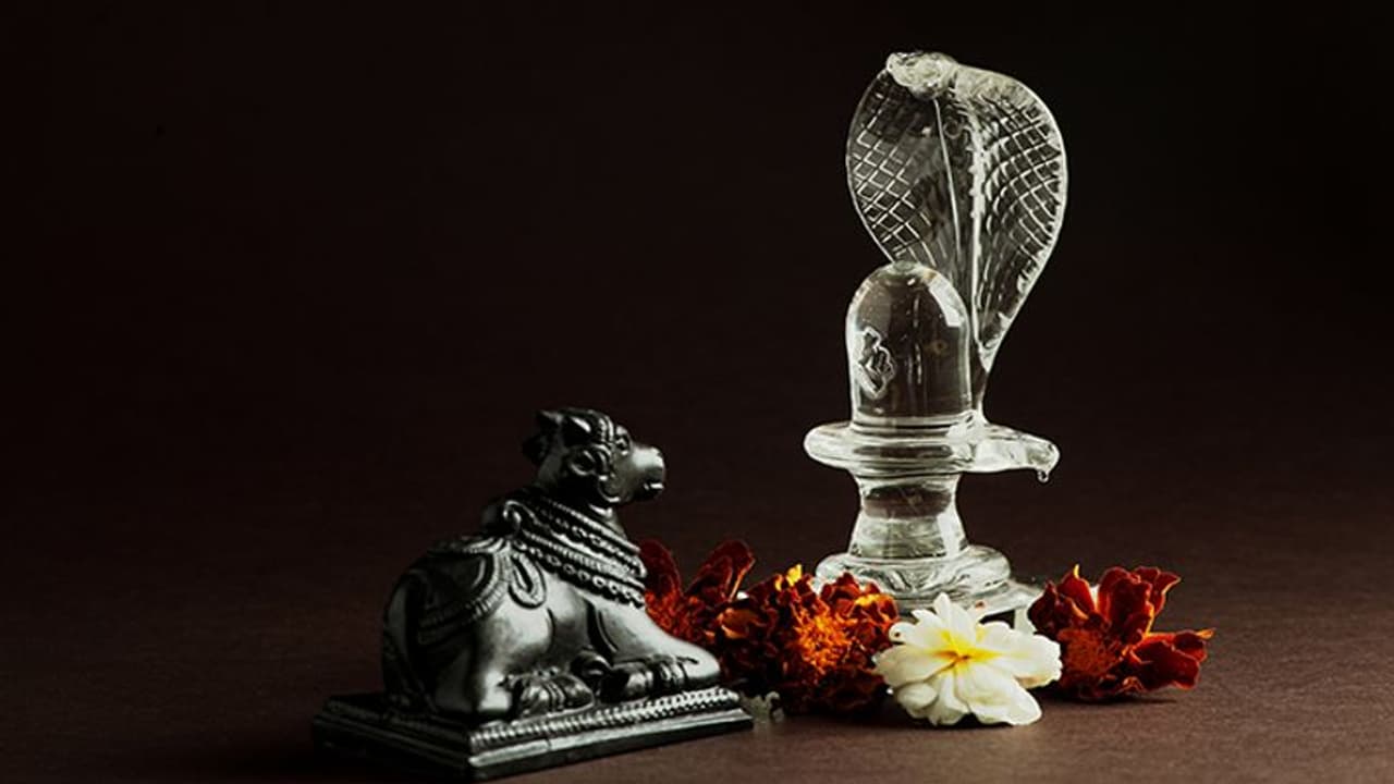 Guru Pradosh Vrat 2022: किस दिन किया जाएगा सितंबर 2022 का पहला प्रदोष व्रत? जानें पूजा विधि व शुभ मुहूर्त Guru Pradosh Vrat 2022: किस दिन किया जाएगा सितंबर 2022 का पहला प्रदोष व्रत? जानें पूजा विधि व शुभ मुहूर्त