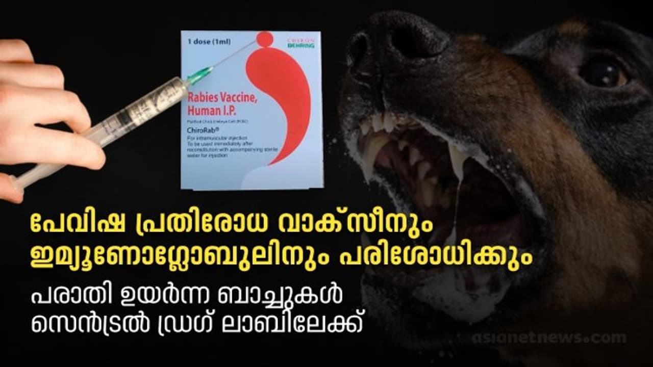 ഒടുവിൽ ഗുണനിലവാര പരിശോധന : പേവിഷ പ്രതിരോധ വാക്സീനും ഇമ്യൂണോഗ്ലോബുലിനും സെൻട്രൽ ഡ്രഗ് ലാബിൽ പരിശോധിക്കും