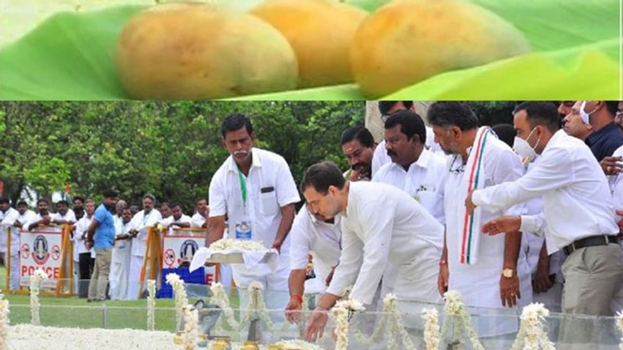 தந்தையின் நினைவிடத்தில் 3 மாம்பழத்தை வைத்து வழிபட்ட ராகுல்.. என்ன காரணம் தெரியுமா? 