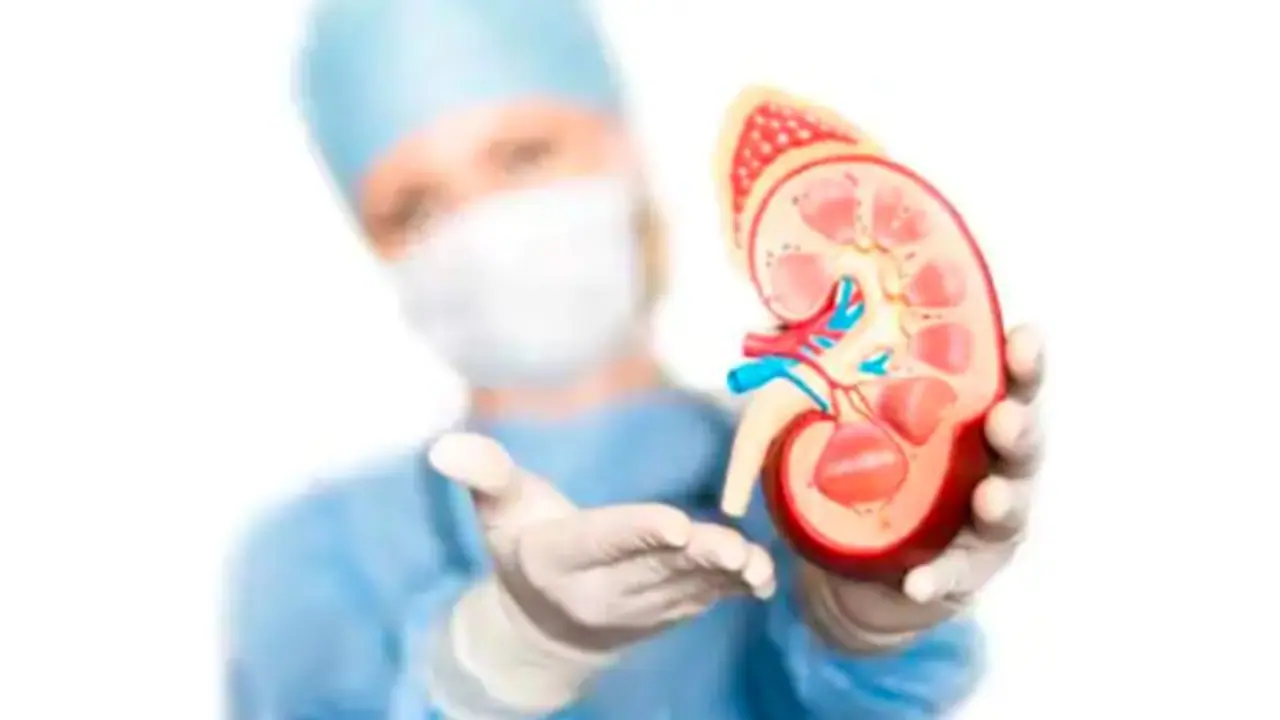 Kidneys Health : വൃക്കകളെ സംരക്ഷിക്കാൻ ഇക്കാര്യങ്ങൾ ശ്രദ്ധിക്കാം 