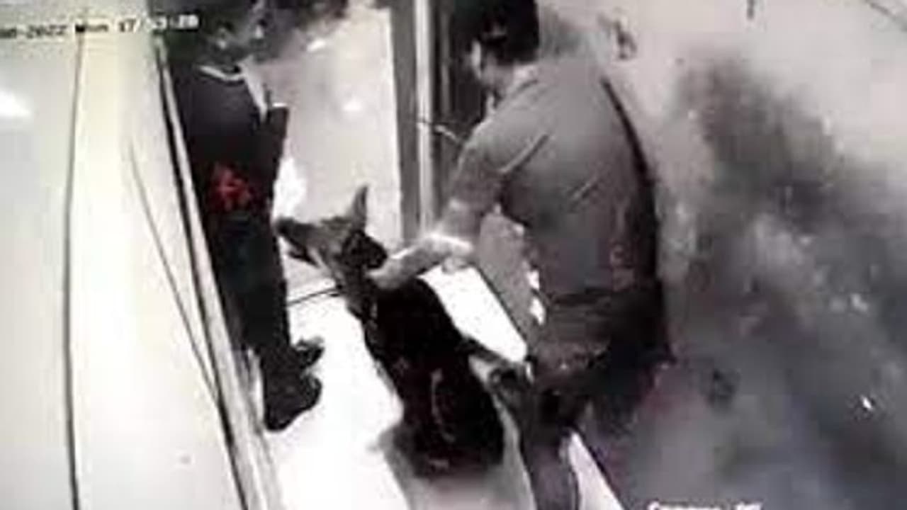 Dog Attack : വീണ്ടും ലിഫ്റ്റിനകത്ത് വച്ച് വളര്‍ത്തുനായയുടെ ആക്രമണം; വീഡിയോ