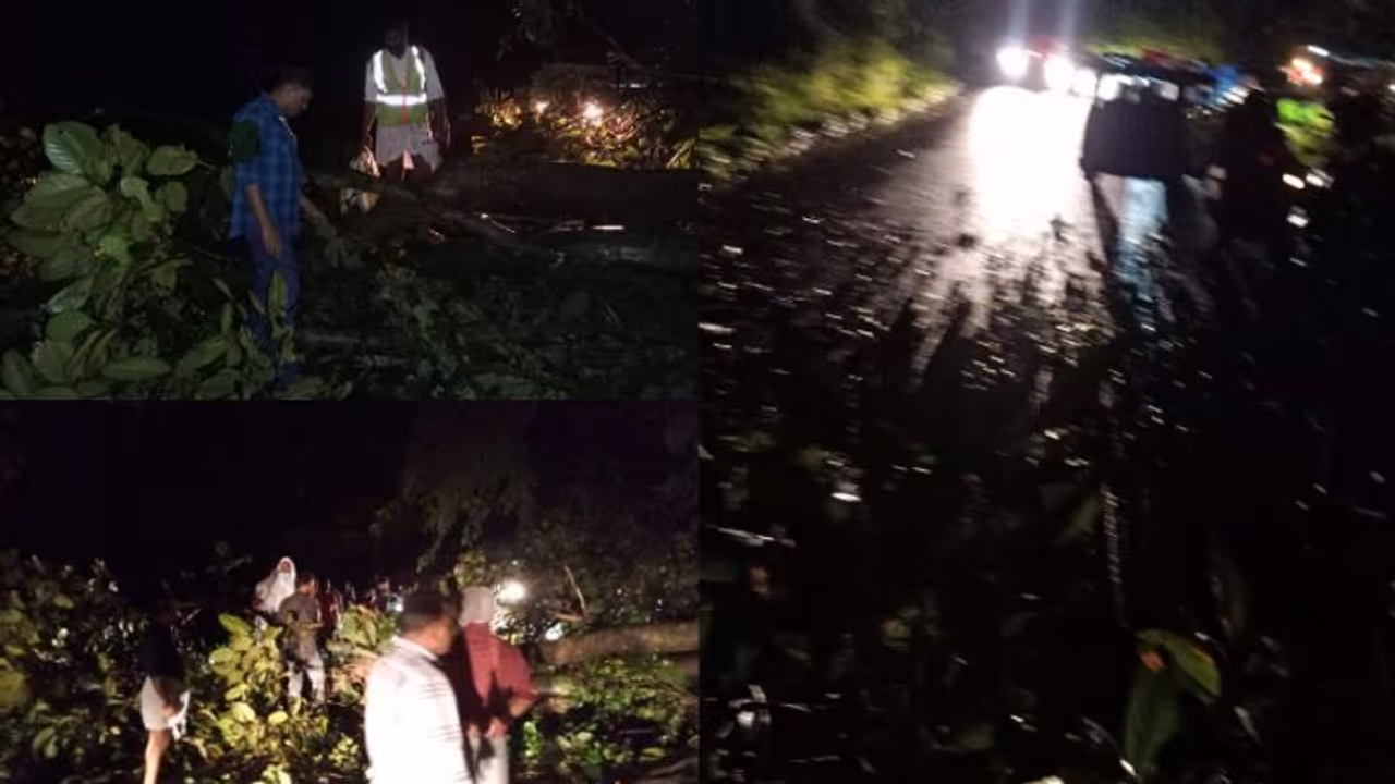 ഓണത്തിരക്കിനിടെ താമരശ്ശേരി ചുരത്തിൽ കൂറ്റൻ മരം വീണു, വൻ ഗതാഗത കുരുക്ക്, യാത്ര പൂർണ്ണമായി സ്തംഭിച്ചു ഓണത്തിരക്കിനിടെ താമരശ്ശേരി ചുരത്തിൽ കൂറ്റൻ മരം വീണു, വൻ ഗതാഗത കുരുക്ക്, യാത്ര പൂർണ്ണമായി സ്തംഭിച്ചു