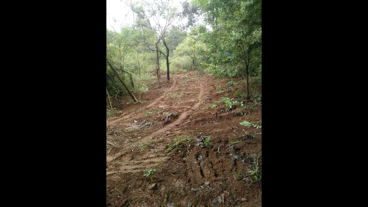 Bangalore University: ಅಪರಿಚಿತರಿಂದ ಬೆಂವಿವಿ ಜಾಗ ಕಬ್ಜ ಯತ್ನ Bangalore University: ಅಪರಿಚಿತರಿಂದ ಬೆಂವಿವಿ ಜಾಗ ಕಬ್ಜ ಯತ್ನ