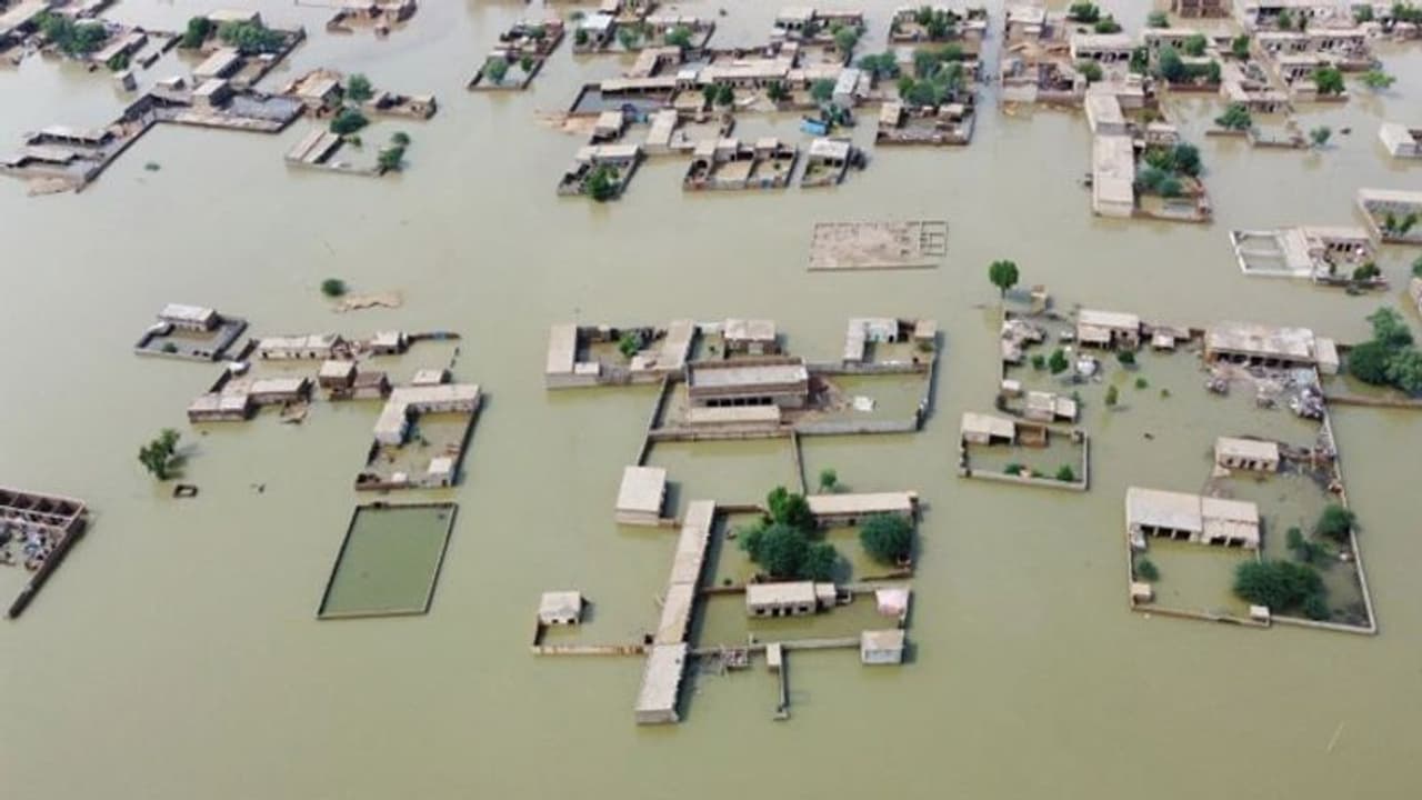 पाकिस्तान में विनाशकारी बाढ़: संकट में याद आया भारत, पहले आलू प्याज और अब कॉटन की आस पाकिस्तान में विनाशकारी बाढ़: संकट में याद आया भारत, पहले आलू प्याज और अब कॉटन की आस