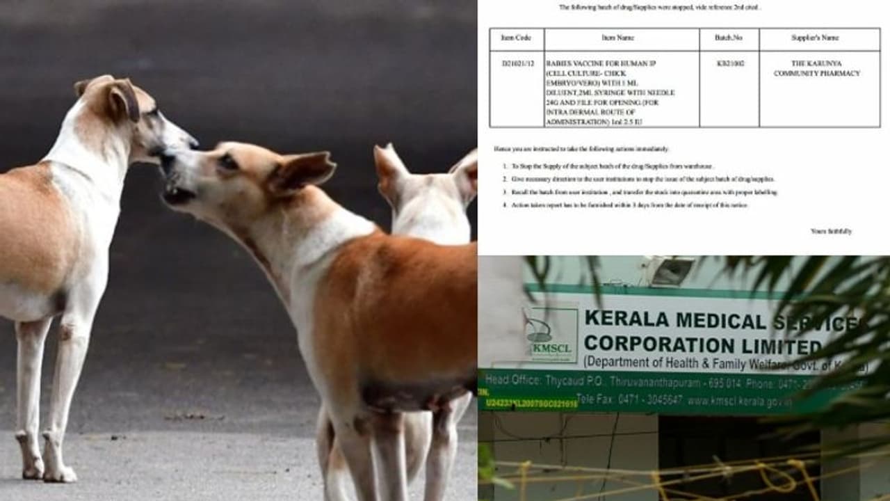 പേവിഷ പ്രതിരോധ വാക്സീന്റെ ഒരു ബാച്ച് പിൻവലിച്ചു; നടപടി നാലായിരത്തോളം വയലുകൾ വിതരണം ചെയ്ത ശേഷം