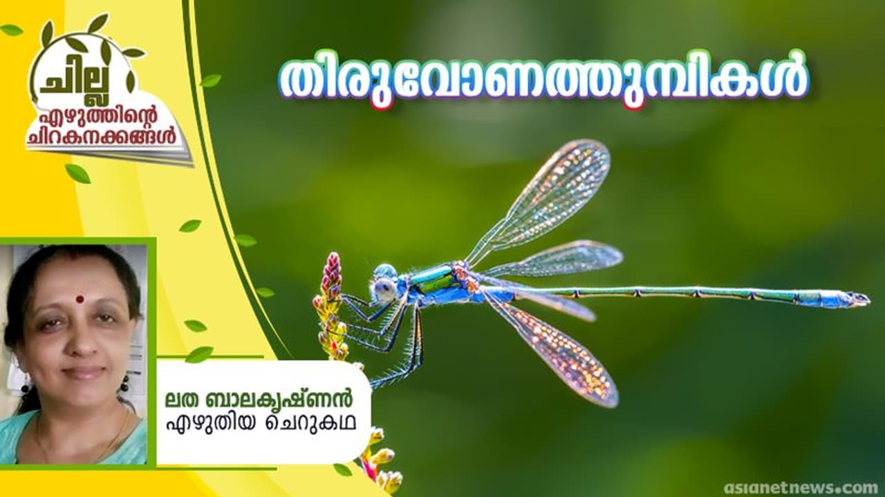 Malayalam Short Story ; തിരുവോണത്തുമ്പികള്, ലത ബാലകൃഷ്ണന് എഴുതിയ ചെറുകഥ Malayalam Short Story ; തിരുവോണത്തുമ്പികള്, ലത ബാലകൃഷ്ണന് എഴുതിയ ചെറുകഥ