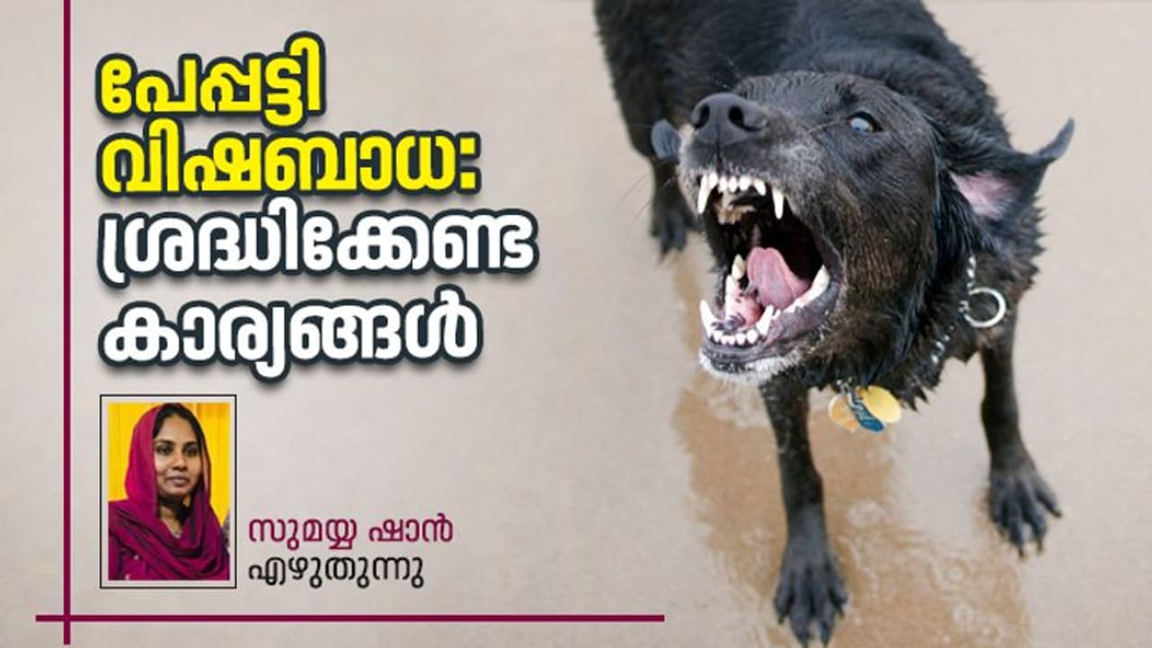 വാക്‌സിന്‍ നല്‍കിയിട്ടും പേപ്പട്ടി വിഷബാധ ആളെക്കൊല്ലുന്നത് എങ്ങനെയാണ്?