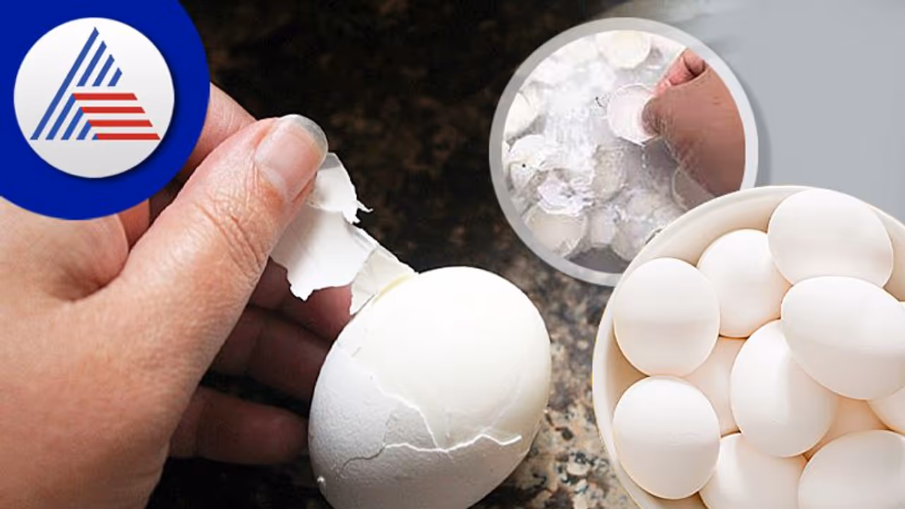 చత్తీస్ ఘడ్ లో దారుణం... కేవలం కోడిగుడ్ల కోసం హోటల్ యజమాని కిడ్నాప్ చత్తీస్ ఘడ్ లో దారుణం... కేవలం కోడిగుడ్ల కోసం హోటల్ యజమాని కిడ్నాప్