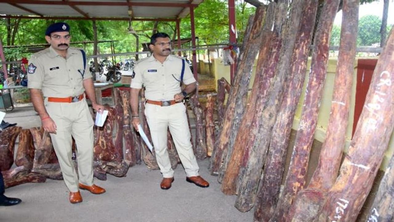 సీఎం సొంతజిల్లాలో పుష్ఫ స్టైల్లో ఎర్రచందనం స్మగ్లింగ్... ఆటకట్టించిన పోలీసులు సీఎం సొంతజిల్లాలో పుష్ఫ స్టైల్లో ఎర్రచందనం స్మగ్లింగ్... ఆటకట్టించిన పోలీసులు