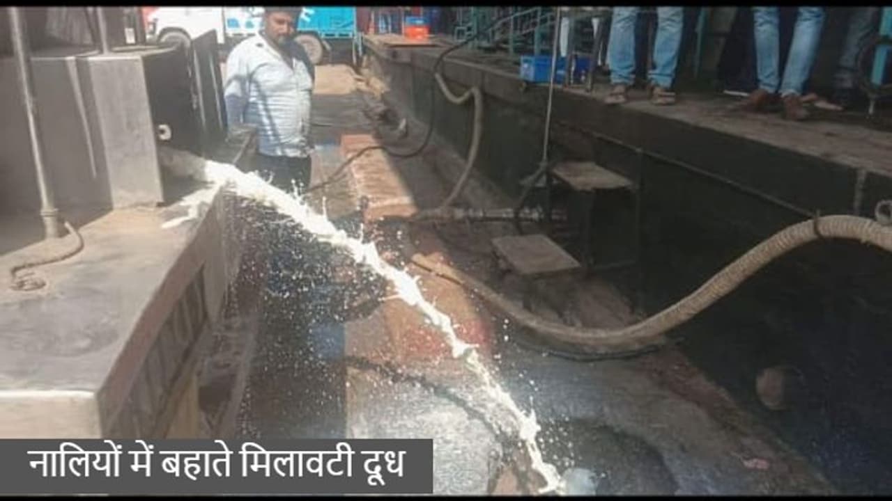 राजस्थान में ऐसा क्या हुआ की हजारों लीटर दूध बहा दिया नाली में! कहीं लंपी वायरस तो कारण नहीं