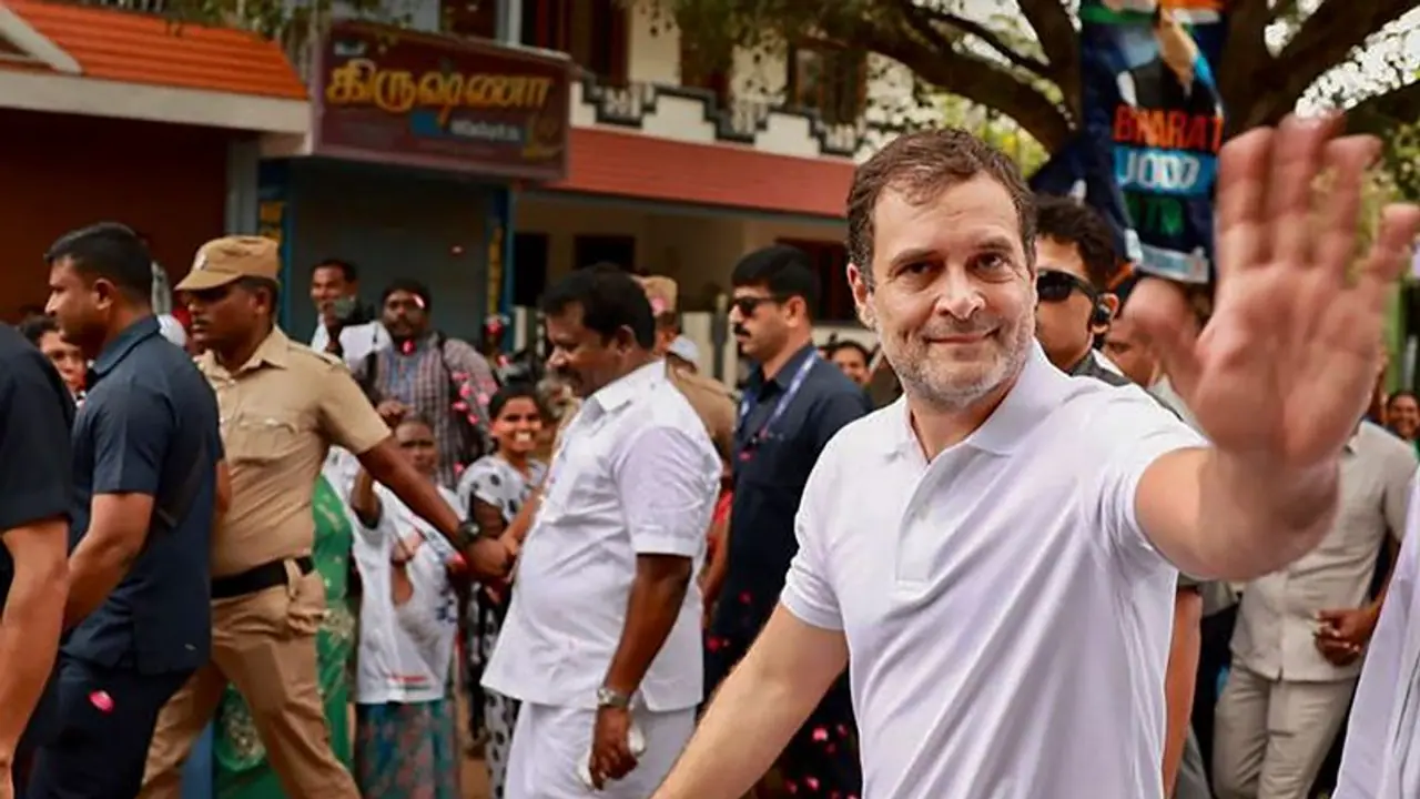 BJP claims Rahul Gandhi wore T shirt worth Rs 41257 at Bharat Jodo Yatra; Congress hits back BJP claims Rahul Gandhi wore T shirt worth Rs 41257 at Bharat Jodo Yatra; Congress hits back