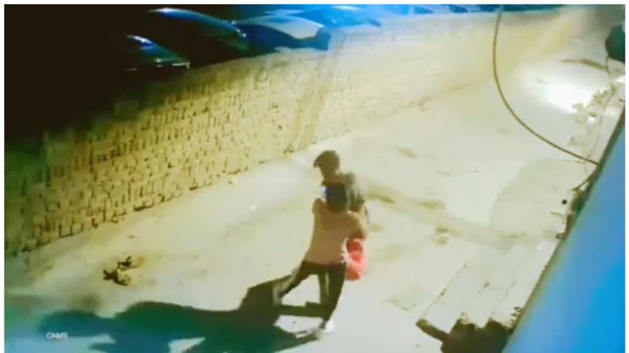 മൊബൈൽ തട്ടിപ്പറിച്ചോടാൻ ശ്രമം, അക്രമിയെ കോളറിൽ പിടിച്ച് നിർത്തി യുവതി, വീഡിയോ വൈറൽ 