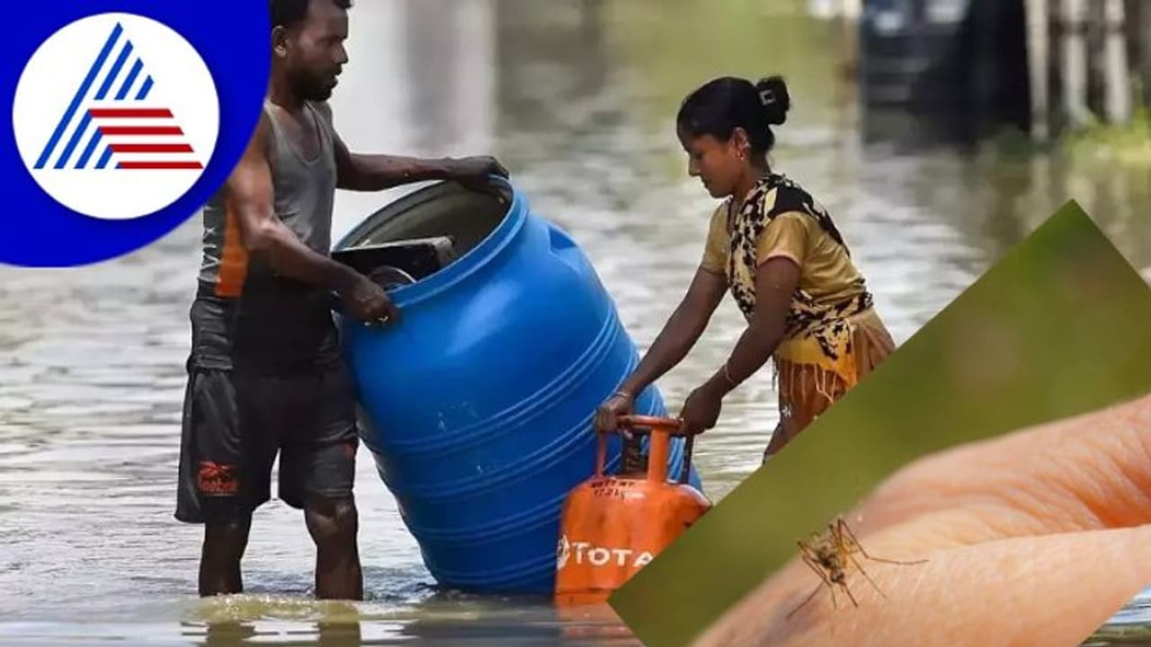 Mosquito Menace : ಪ್ರವಾಹ ಪೀಡಿತ ಪ್ರದೇಶದಲ್ಲಿ ‘ಸೊಳ್ಳೆ’ ಸವಾಲು! Mosquito Menace : ಪ್ರವಾಹ ಪೀಡಿತ ಪ್ರದೇಶದಲ್ಲಿ ‘ಸೊಳ್ಳೆ’ ಸವಾಲು!