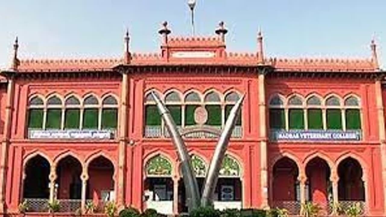 கால்நடை மருத்துவ படிப்புக்கு இன்று முதல் விண்ணப்பிக்கலாம்.. எப்படி விண்ணப்பிப்பது..? முழு விவரம் இதோ