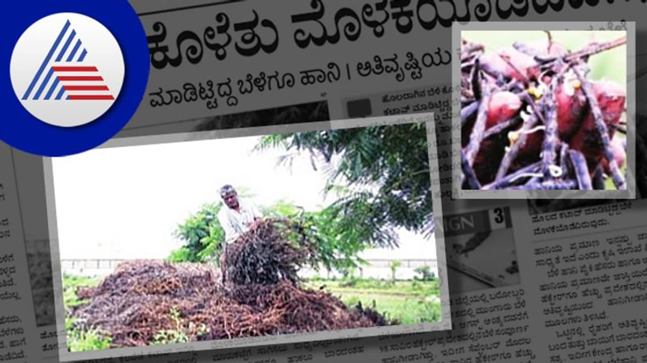 Hubballi floods: ಬೆಳೆಯೆಲ್ಲ ನೀರಲ್ಲಿ ಕೊಳೆತು ಮೊಳಕೆಯೊಡೆದಿವೆ! Hubballi floods: ಬೆಳೆಯೆಲ್ಲ ನೀರಲ್ಲಿ ಕೊಳೆತು ಮೊಳಕೆಯೊಡೆದಿವೆ!