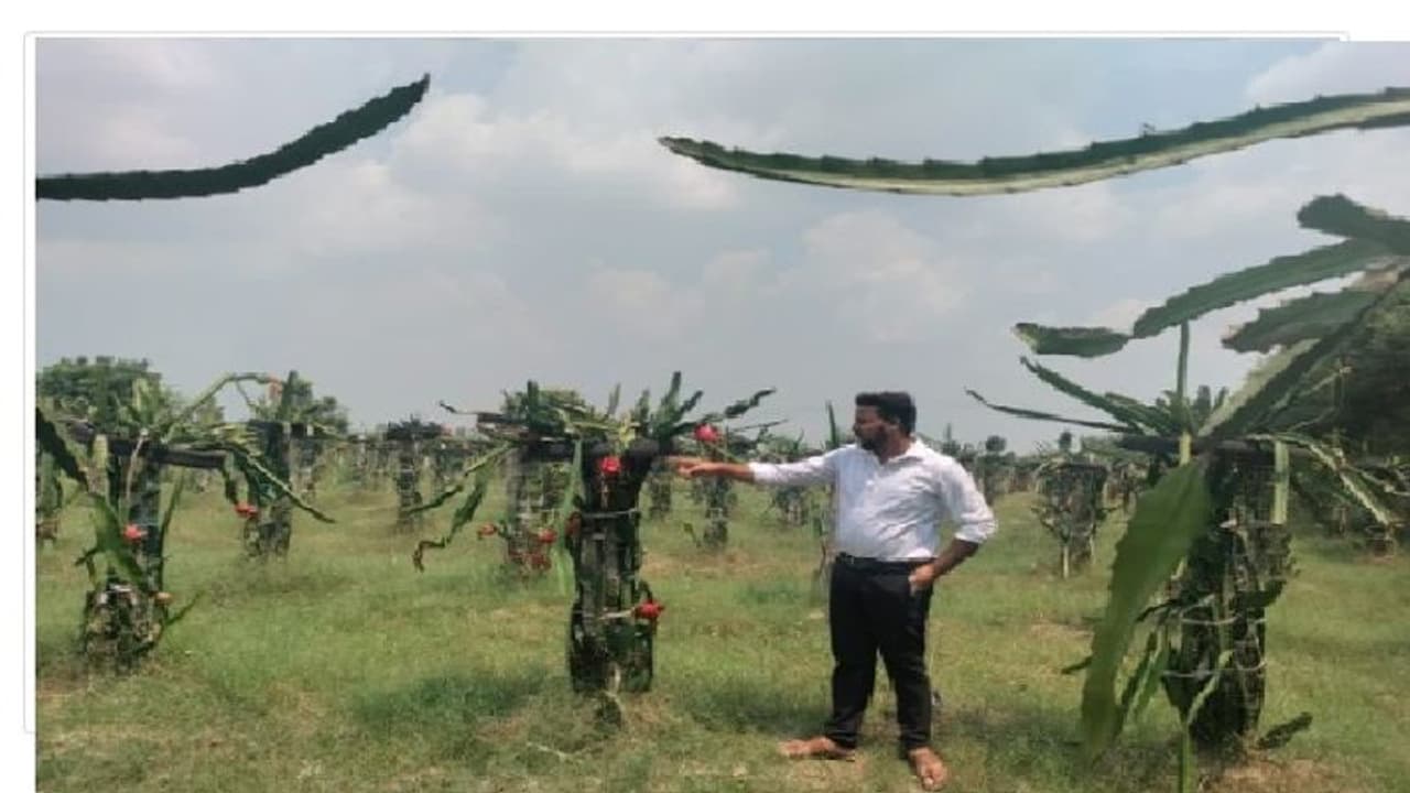 शाहजहांपुर: कंप्यूटर साइंस ग्रेजुएट ने नौकरी छोड़ खेती पर किया फोकस, सीएम योगी से करना चाहते हैं मुलाकात शाहजहांपुर: कंप्यूटर साइंस ग्रेजुएट ने नौकरी छोड़ खेती पर किया फोकस, सीएम योगी से करना चाहते हैं मुलाकात