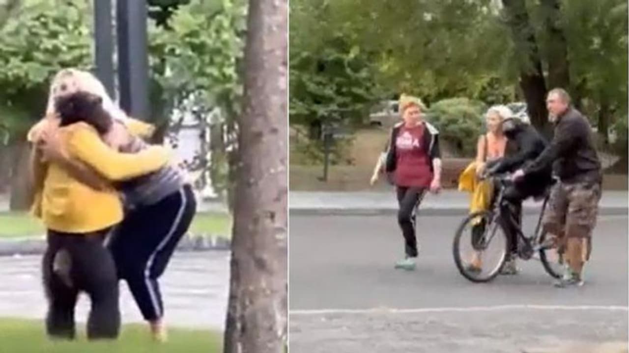 ജാക്കറ്റും സൈക്കിളില്‍ സവാരിയും; പുറത്ത് ചാടിയ ചിമ്പാന്‍സിയെ കൈയിലെടുത്തത് ഇങ്ങനെ...