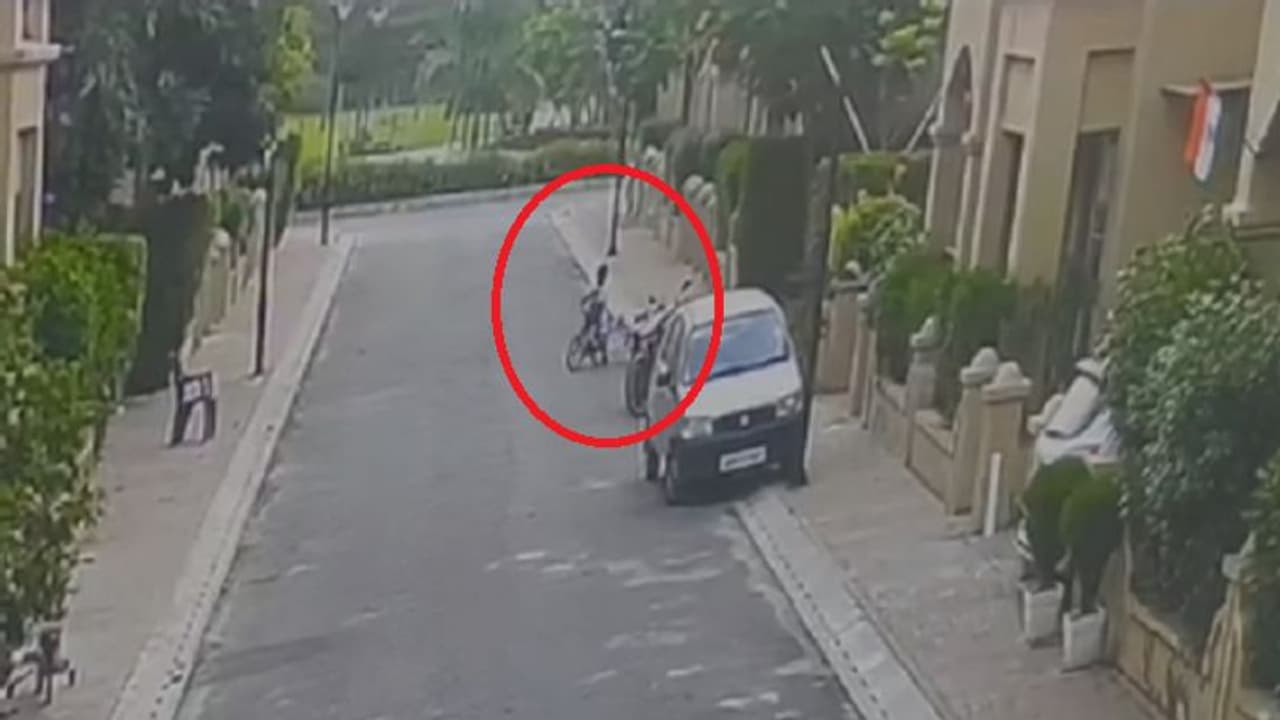 लखनऊ में मासूम बच्चे को कुत्ते ने बनाया निशाना, आखिर इस तरह की घटनाओं के बाद जिम्मेदार कौन? लखनऊ में मासूम बच्चे को कुत्ते ने बनाया निशाना, आखिर इस तरह की घटनाओं के बाद जिम्मेदार कौन?