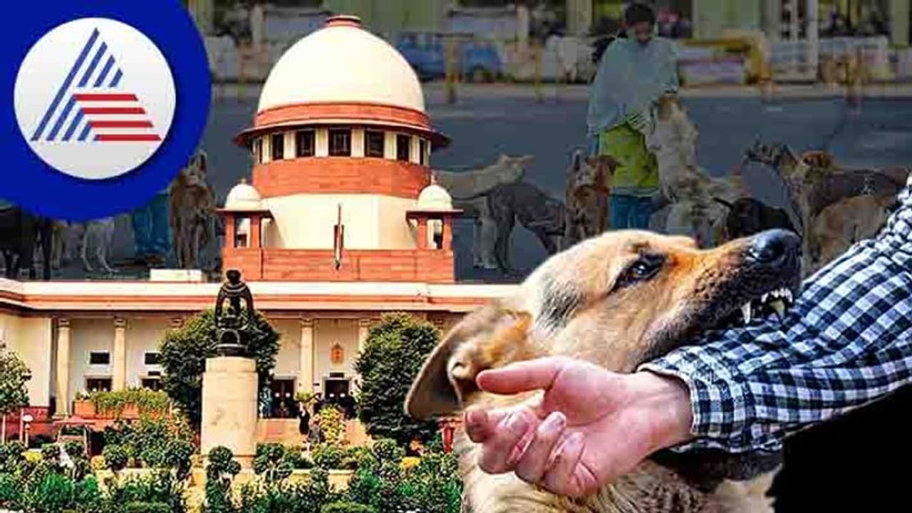 പേവിഷബാധ പ്രതിരോധ വാക്സിന്‍റെ ഗുണനിലവാരം: കേന്ദ്രത്തിന്  സുപ്രീം കോടതി നോട്ടീസ്