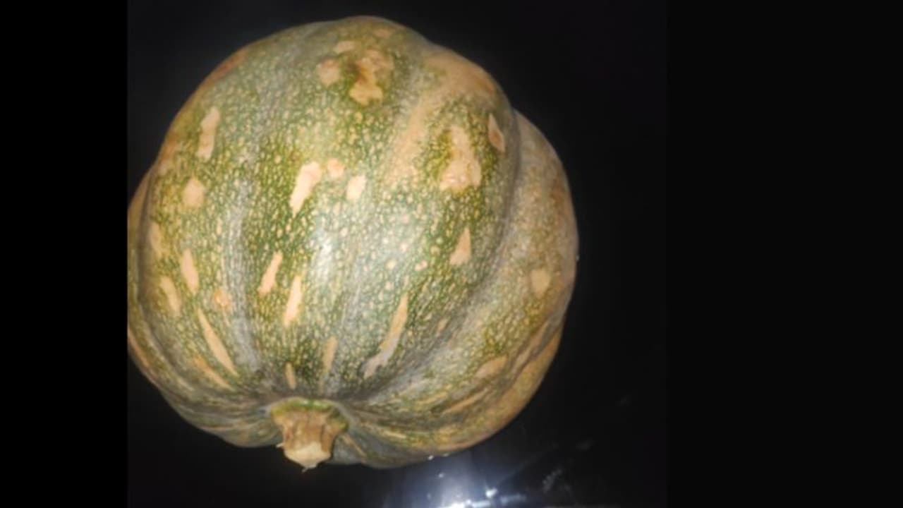 'ഇടുക്കിയിലെ 47,000 രൂപ വിലയുള്ള മത്തങ്ങ', ഭാഗ്യം മത്തങ്ങയുടെ രൂപത്തിലും എത്തുമെന്ന് ഓണഘോഷ കമ്മിറ്റി