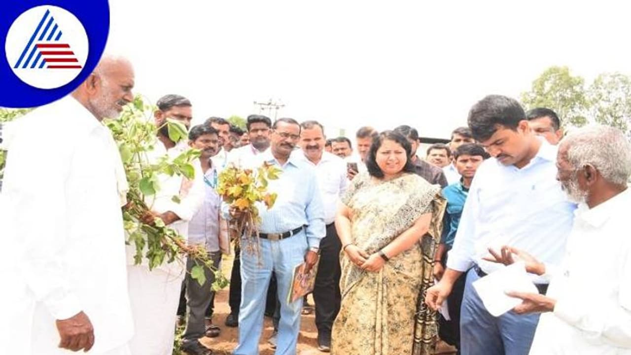 Yadgir: ಪರಿಹಾರ ಕೊಟ್ಟು ಪುಣ್ಯಾ ಕಟ್ಟಿಕೊಳ್ರಿ, ಕೇಂದ್ರದ ನೆರೆ ಅಧ್ಯಯನ ತಂಡಕ್ಕೆ ರೈತರ ಅಳಲು Yadgir: ಪರಿಹಾರ ಕೊಟ್ಟು ಪುಣ್ಯಾ ಕಟ್ಟಿಕೊಳ್ರಿ, ಕೇಂದ್ರದ ನೆರೆ ಅಧ್ಯಯನ ತಂಡಕ್ಕೆ ರೈತರ ಅಳಲು