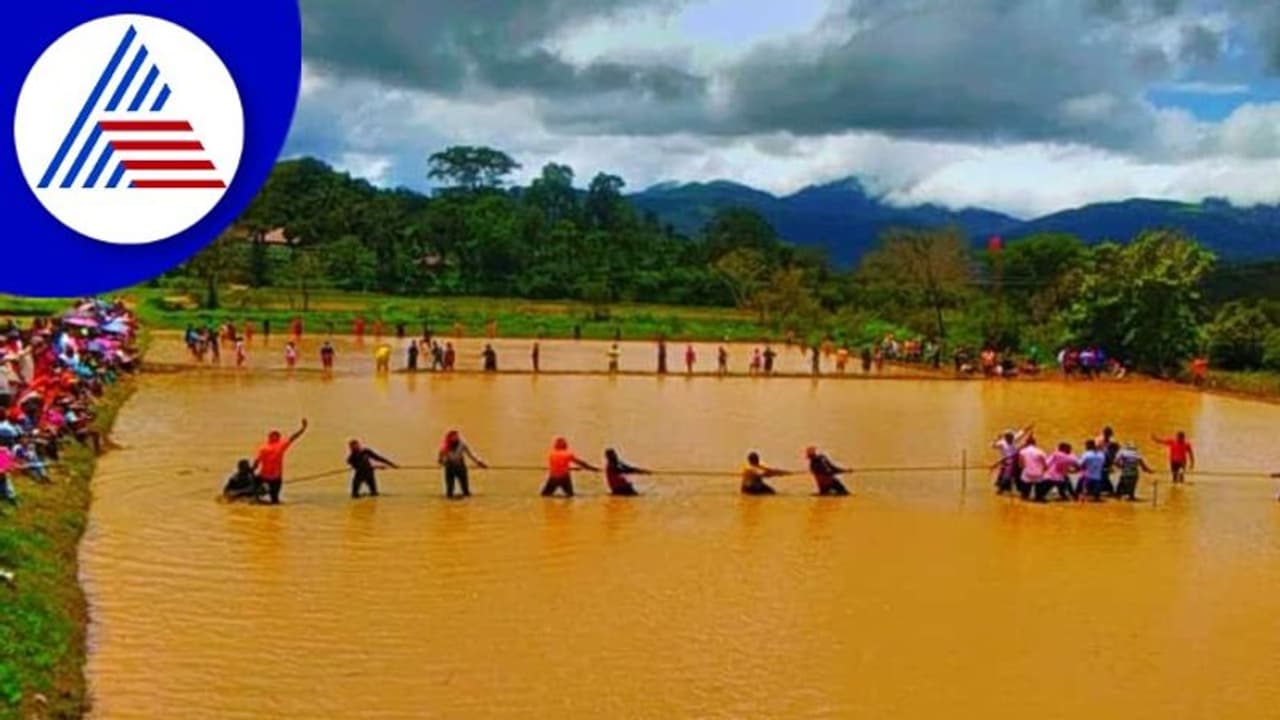 Traditional Sports: ಚೆಟ್ಟಿಮಾನಿಯಲ್ಲಿ ಸಂಭ್ರಮದ ಕೆಸರುಗದ್ದೆ ಕ್ರೀಡಾಕೂಟ