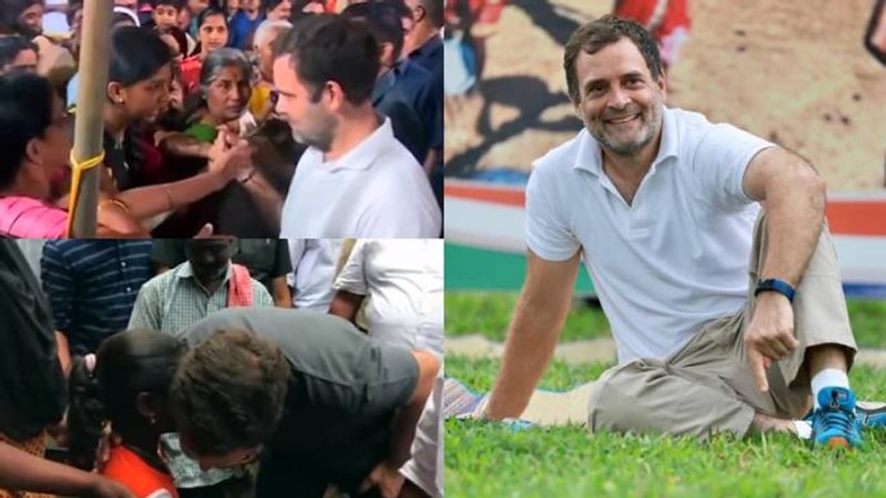 'അതിഘോരമാം കൊടുങ്കാറ്റിതാ...ചാട്ടുളിപോലെ നീങ്ങുമേ'; ഹൃദയം തൊടാന് രാഹുലിന്റെ ജോഡോ യാത്ര, തരംഗമാകാന് പാട്ട് 'അതിഘോരമാം കൊടുങ്കാറ്റിതാ...ചാട്ടുളിപോലെ നീങ്ങുമേ'; ഹൃദയം തൊടാന് രാഹുലിന്റെ ജോഡോ യാത്ര, തരംഗമാകാന് പാട്ട്