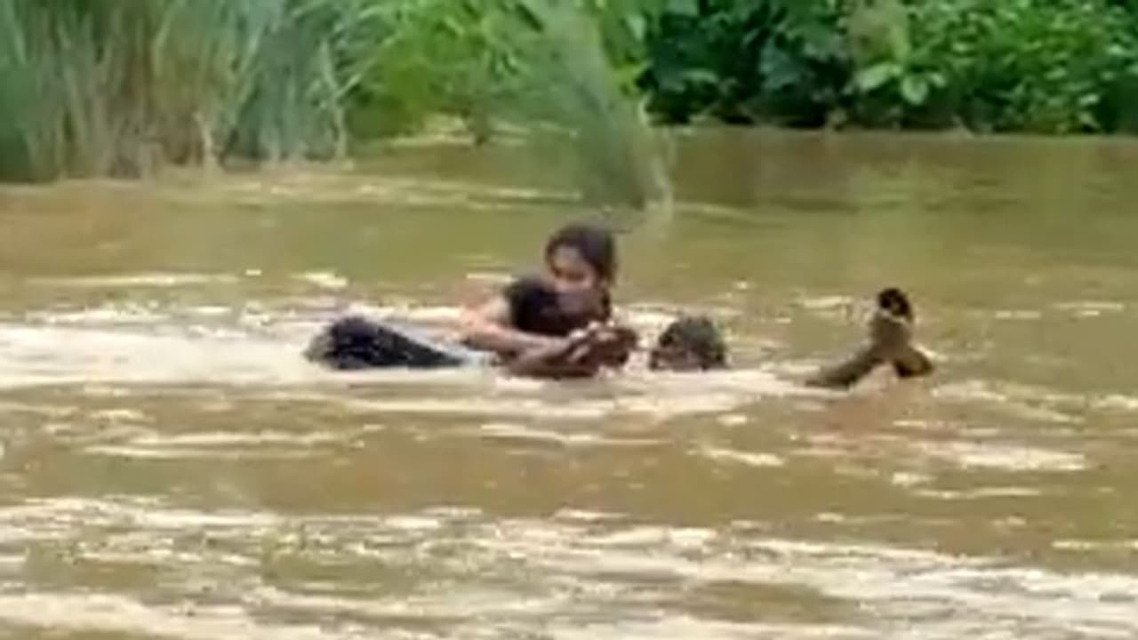 Woman swims across overflowing river to attend exam in Andhra Pradesh: watch video