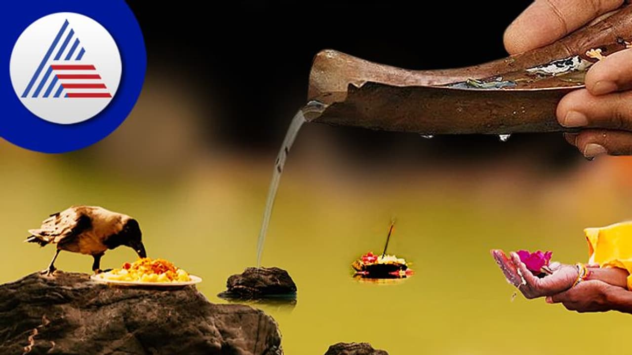 Pitru Paksha 2022: ಪೂರ್ವಜರ ತೃಪ್ತಿಗಾಗಿ ಈ ಐದು ಜೀವಿಗಳಿಗೆ ನೀಡಲೇಬೇಕು ಆಹಾರ Pitru Paksha 2022: ಪೂರ್ವಜರ ತೃಪ್ತಿಗಾಗಿ ಈ ಐದು ಜೀವಿಗಳಿಗೆ ನೀಡಲೇಬೇಕು ಆಹಾರ