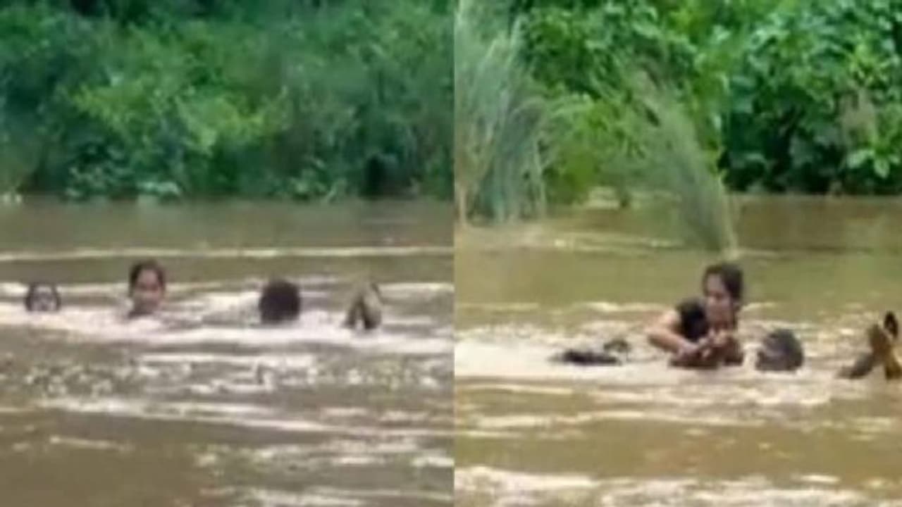 പരീക്ഷ എഴുതാൻ കുത്തിയൊഴുകുന്ന പുഴ നീന്തിക്കടന്ന് യുവതി, സഹായത്തിന് സഹോദരങ്ങളും പരീക്ഷ എഴുതാൻ കുത്തിയൊഴുകുന്ന പുഴ നീന്തിക്കടന്ന് യുവതി, സഹായത്തിന് സഹോദരങ്ങളും