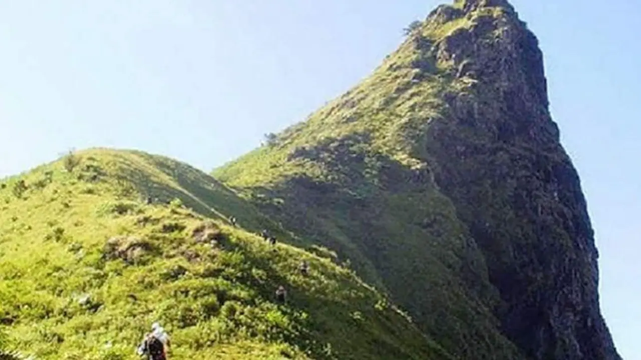 Karnataka: Trekking banned for now at Ettina Bhuja in Chikkamagaluru