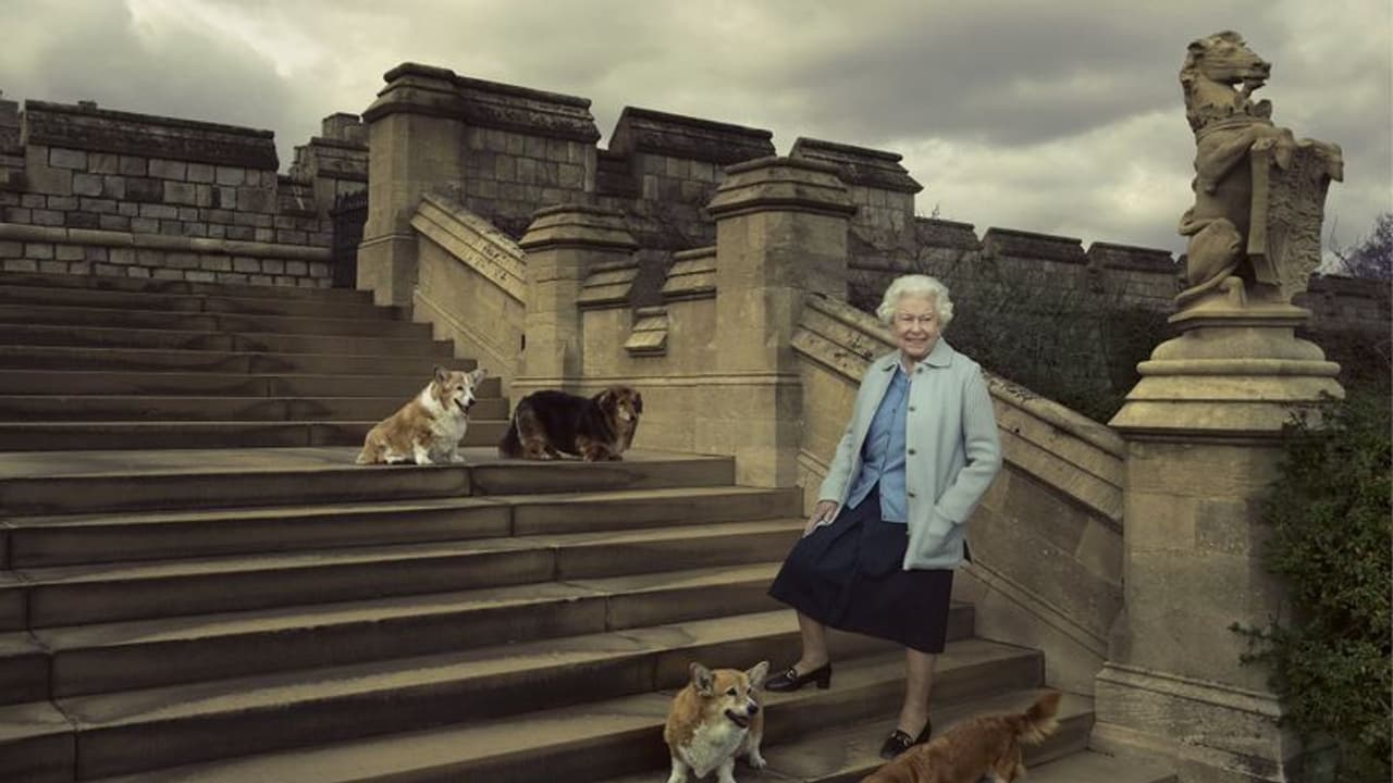 व्हिस्की, शेरी या हों डिस्को इन प्यारे कॉर्गी डॉग्स की देखभाल करेंगे महारानी के छोटे बेटे प्रिंस एंड्रयू