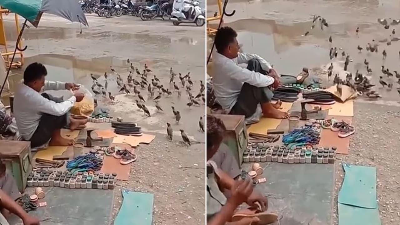 ಬಡವನಾದರೇನು ಪ್ರಿಯೆ.... ಬಾನಡಿಗಳ ಹೊಟ್ಟೆ ತುಂಬಿಸುವ ಸಹೃದಯಿ: ವಿಡಿಯೋ ವೈರಲ್