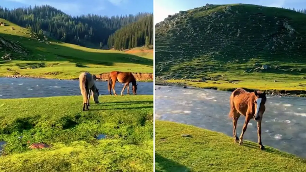 Watch: Incredible view of Kashmir's Bangus Valley leaves the internet spellbound