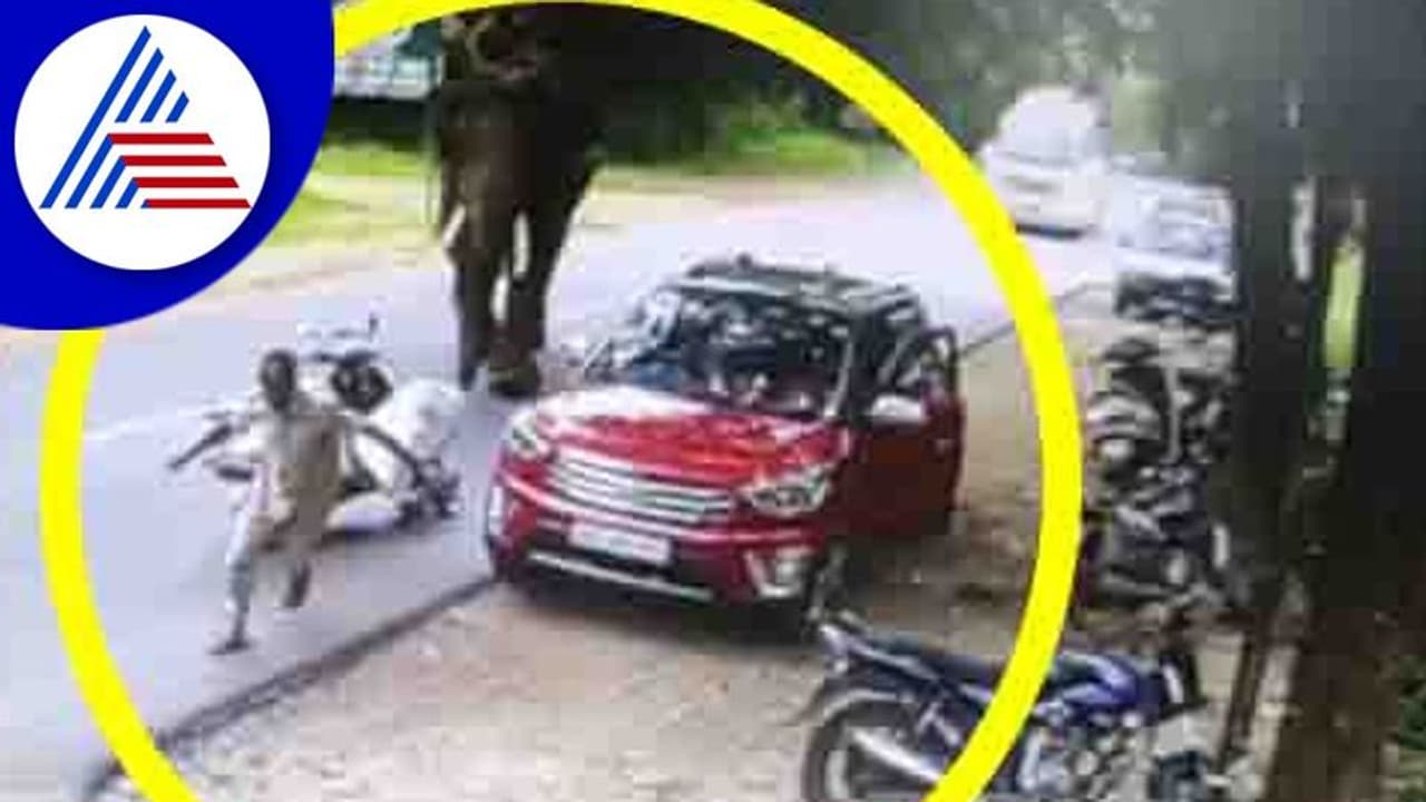 ಸಕ್ರೇಬೈಲಿನಲ್ಲಿ ಮಾವುತನನ್ನು ಅಟ್ಟಾಡಿಸಿದ ಪುಂಡಾನೆ: ಕೂದ​ಲೆಳೆ ಅಂತ​ರ​ದಲ್ಲಿ ಮಾವುತ ಪಾರು