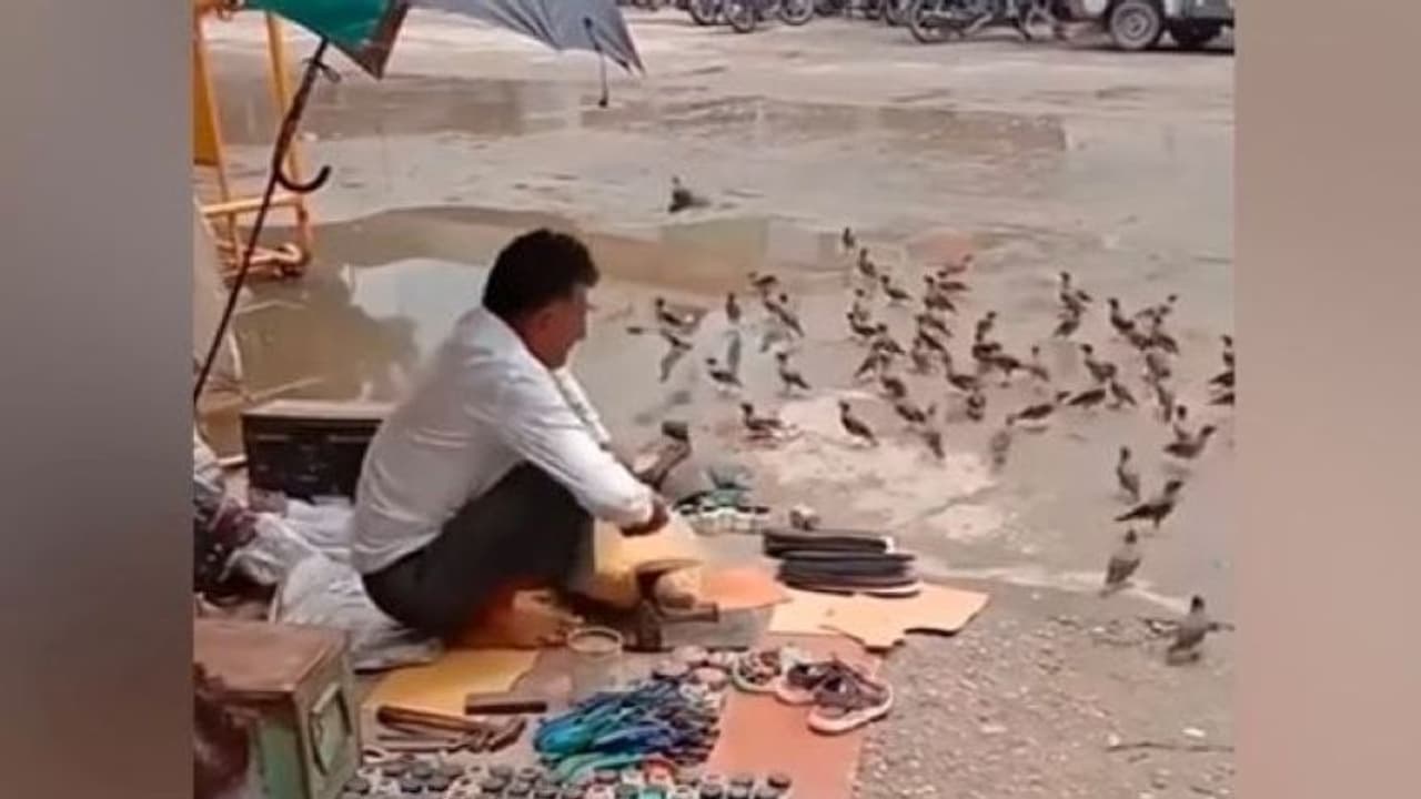 मोची का काम करने वाले इस गरीब शख्स ने जीता यूजर्स का दिल, कहा ये दिल से इतना अमीर कैसे हो सकता है