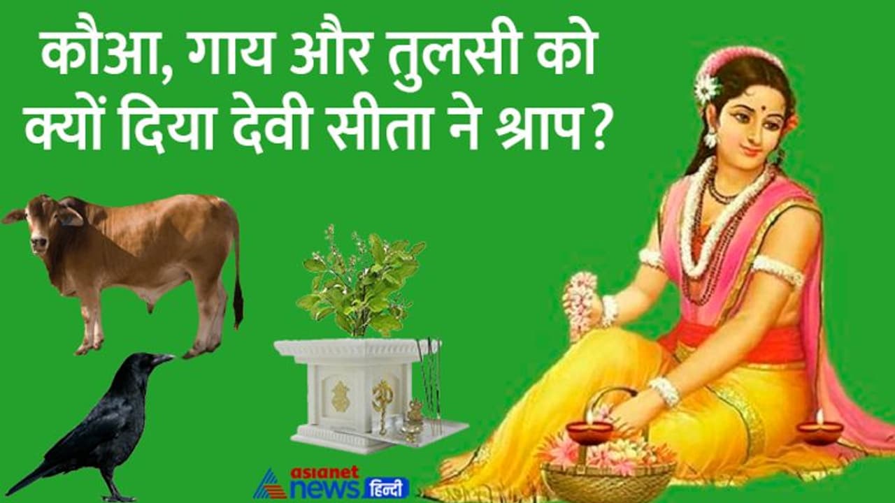 Shraddha Paksha 2022: श्राद्ध के लिए श्रेष्ठ है ये नदी, मगर श्राप के कारण जमीन के ऊपर नहीं नीचे बहती है Shraddha Paksha 2022: श्राद्ध के लिए श्रेष्ठ है ये नदी, मगर श्राप के कारण जमीन के ऊपर नहीं नीचे बहती है