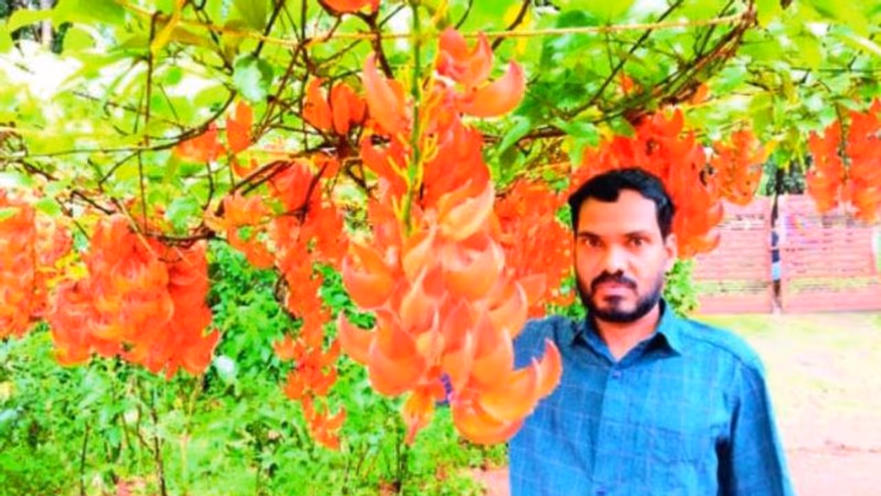 അഗ്നിപുഷ്പം വിരിഞ്ഞു നിൽക്കുന്നത് കാണണോ..? വണ്ടൂരിലേക്ക് വരൂ!