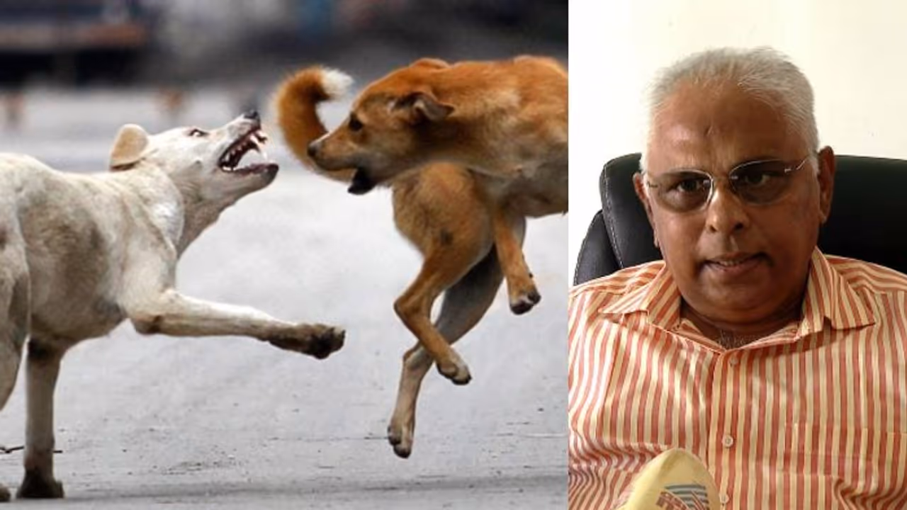 നായ കടിച്ചാൽ നഷ്ടപരിഹാരമോ? ആരെ സമീപിക്കണം? എത്ര കിട്ടും? നടപടി ക്രമങ്ങൾ എന്തെല്ലാം?