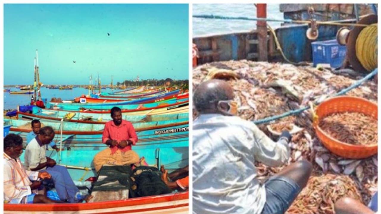 ആഴക്കടല് മത്സ്യബന്ധന മാര്ഗ്ഗനിര്ദ്ദേശം: കേന്ദ്ര സര്ക്കാരിനെ ആശങ്ക അറിയിച്ച് കേരളം. പഠനത്തിന് വിദഗ്ധസമിതി ആഴക്കടല് മത്സ്യബന്ധന മാര്ഗ്ഗനിര്ദ്ദേശം: കേന്ദ്ര സര്ക്കാരിനെ ആശങ്ക അറിയിച്ച് കേരളം. പഠനത്തിന് വിദഗ്ധസമിതി