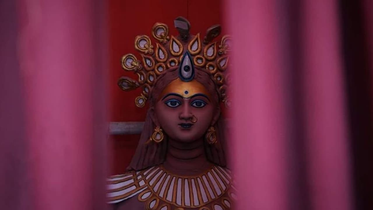 ফেলে আসা ছোটবেলার সেই সোনালী দিনগুলোতে ফিরে যেতে চান, তাহলে পুজোয় আসতে হবে বেলেঘাটা পল্লী উন্নয়নে