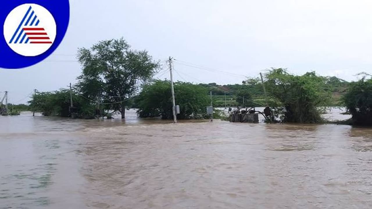 Karnataka Rains: ವರುಣನ ಆರ್ಭಟಕ್ಕೆ ನಲುಗಿದ ಅನ್ನದಾತರು