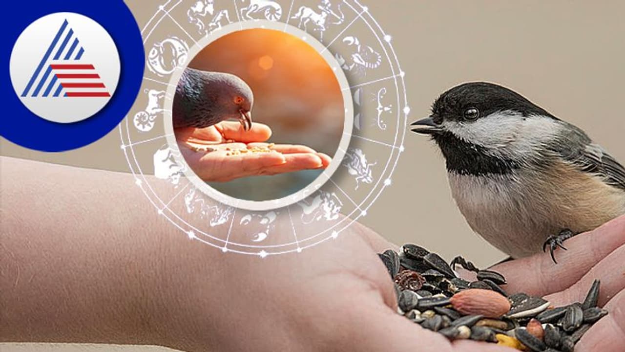 Astrology Remedies: ಪ್ರಾಣಿ ಪಕ್ಷಿಗಳು ನಿಮ್ಮ ಅದೃಷ್ಟವನ್ನೇ ಬದಲಿಸಬಲ್ಲವು! ಇಷ್ಟ್ ಮಾಡಿ ಸಾಕು.. Astrology Remedies: ಪ್ರಾಣಿ ಪಕ್ಷಿಗಳು ನಿಮ್ಮ ಅದೃಷ್ಟವನ್ನೇ ಬದಲಿಸಬಲ್ಲವು! ಇಷ್ಟ್ ಮಾಡಿ ಸಾಕು..
