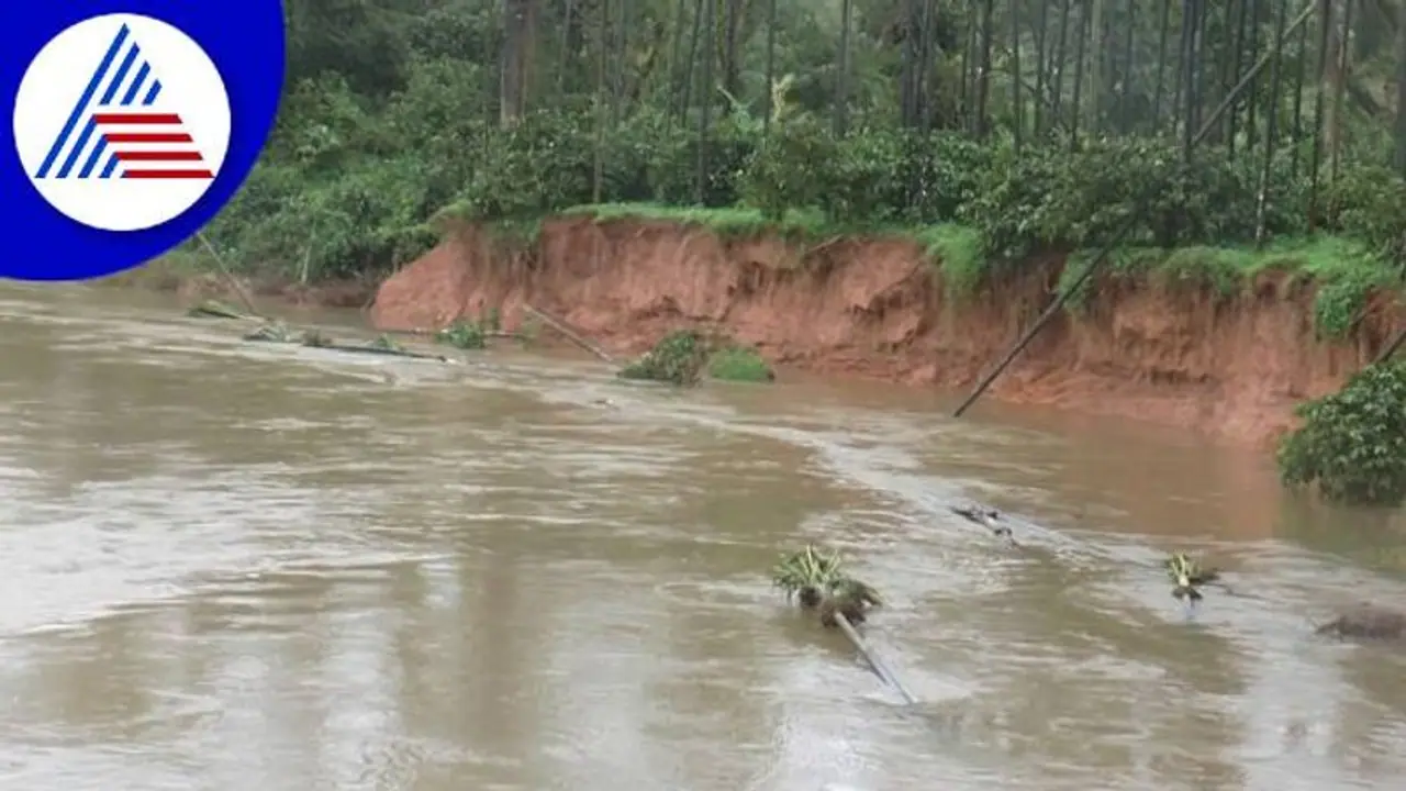 ಚಿಕ್ಕಮಗಳೂರು: ಜಪಾವತಿ ನದಿಯ ಅಬ್ಬರಕ್ಕೆ ಕೊಚ್ಚಿ ಹೋದ ಕಾಫಿ, ಅಡಿಕೆ ತೋಟ, ಕಂಗಾಲಾದ ರೈತ ಚಿಕ್ಕಮಗಳೂರು: ಜಪಾವತಿ ನದಿಯ ಅಬ್ಬರಕ್ಕೆ ಕೊಚ್ಚಿ ಹೋದ ಕಾಫಿ, ಅಡಿಕೆ ತೋಟ, ಕಂಗಾಲಾದ ರೈತ