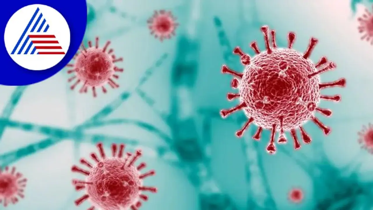 ಮಾಸ್ಕ್ ಹಾಕ್ಕೊಳ್ಳಿ, ಹರಡ್ತಿದೆ ಓಮಿಕ್ರಾನ್ ರೂಪಾಂತರದ ತಳಿ BA.4.6