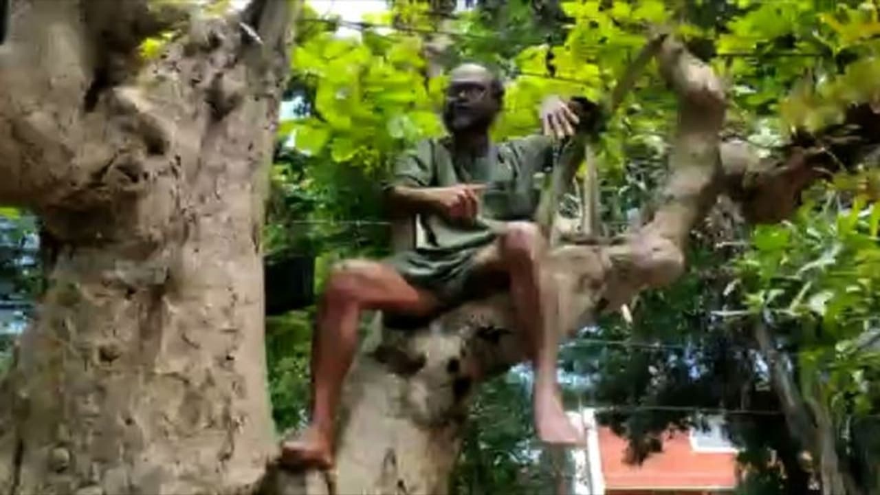 മരത്തില്‍ കയറി സ്വയം കെട്ടിയിട്ടു; തെരുവ്നായ ശല്യത്തിനെതിരെ യുവാവിന്‍റെ സമരം